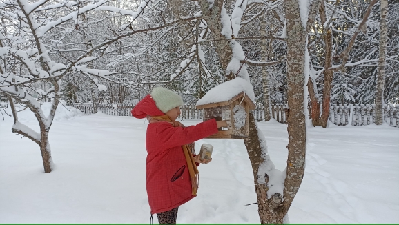 Практическая направленность.
